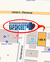 Бронхоальвеолярный лаваж. Когда и зачем?